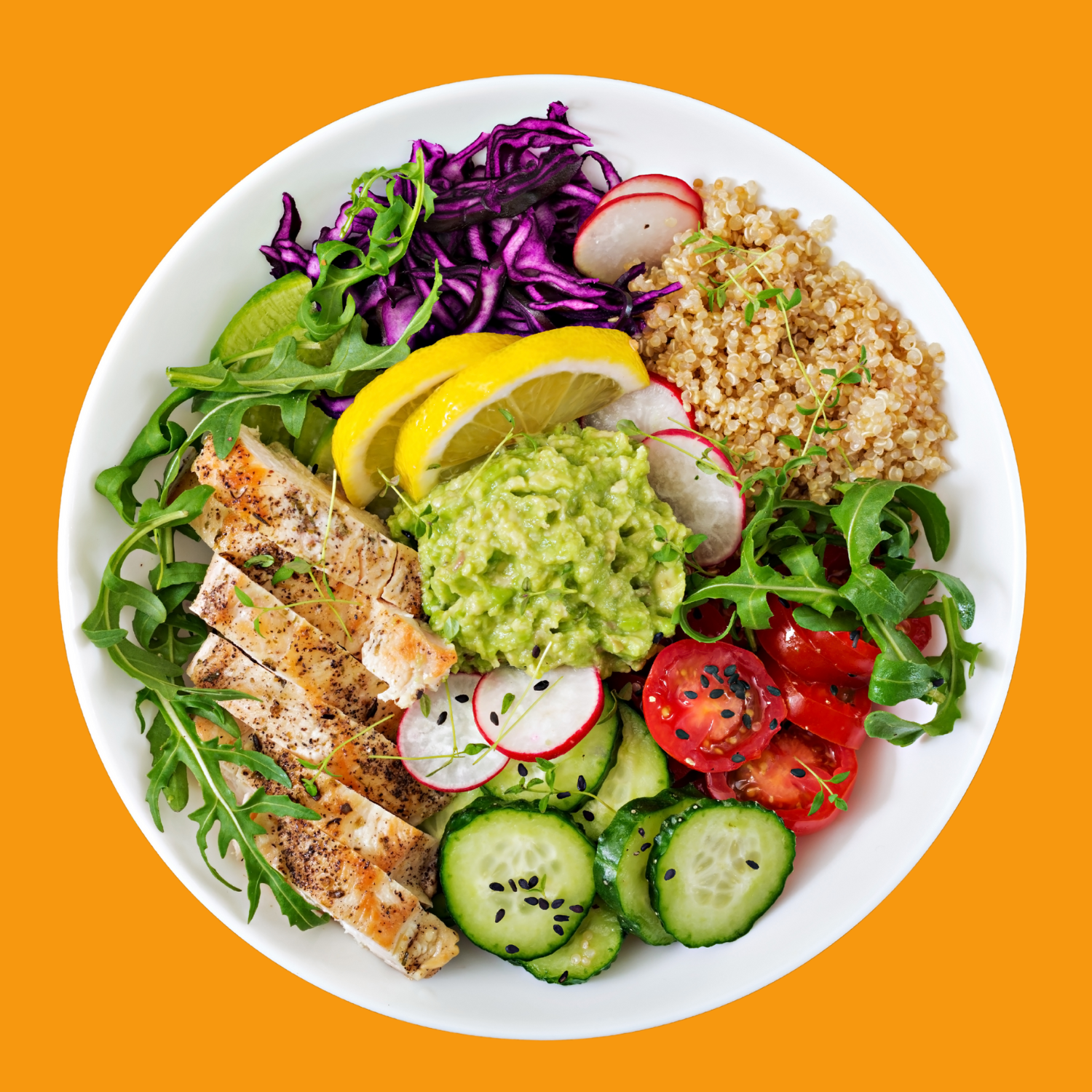 Plate with chicken, quinoa, cucumbers, tomatoes, cabbage, avocado and lemon.