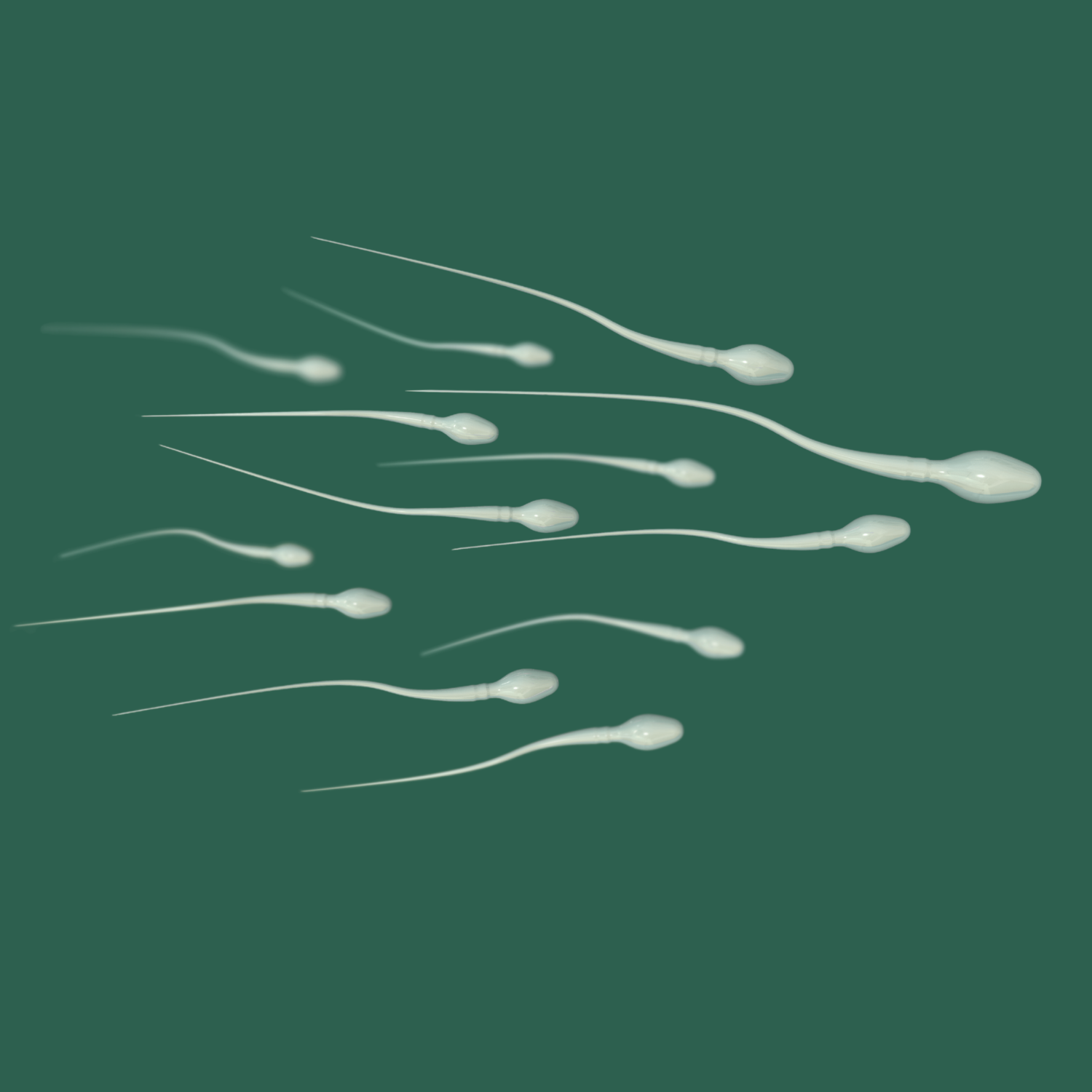 Image of sperm.
