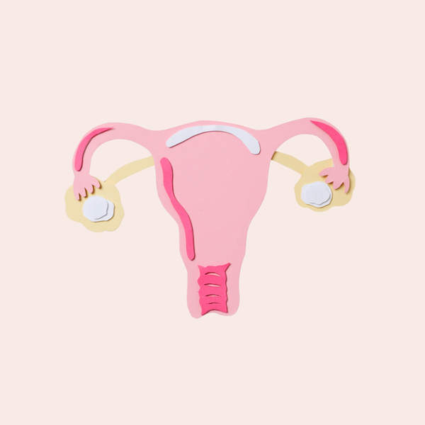 Image of paper cut-out shaped like uterus and ovaries. 